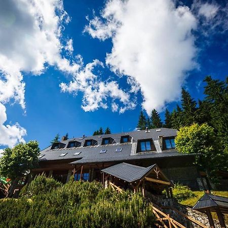 Horsky Hotel Vidly Карлова-Студанка Экстерьер фото
