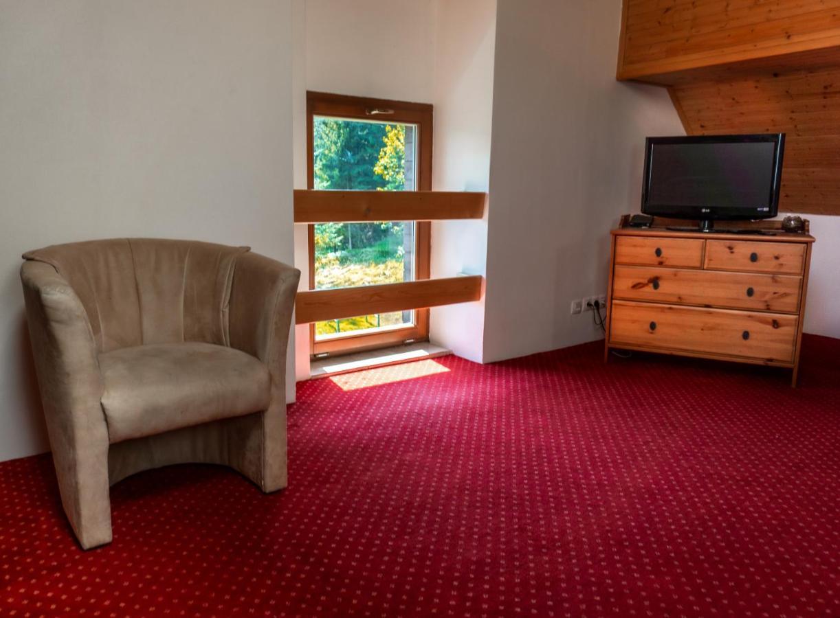 Horsky Hotel Vidly Карлова-Студанка Экстерьер фото
