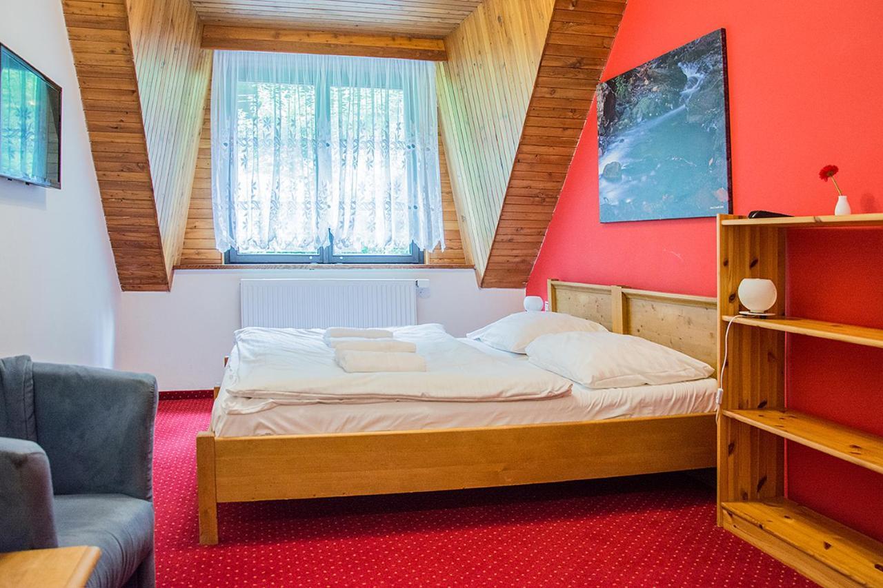 Horsky Hotel Vidly Карлова-Студанка Экстерьер фото