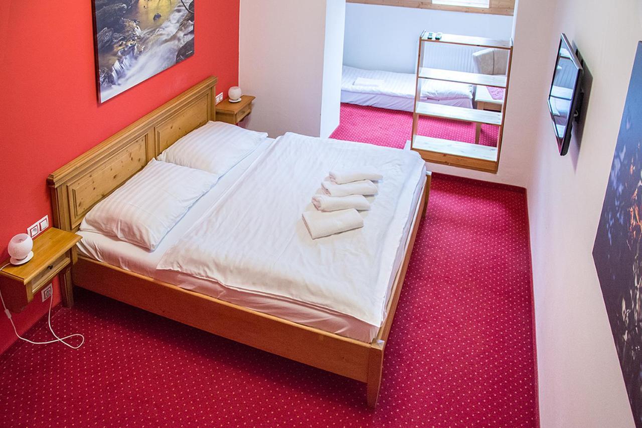 Horsky Hotel Vidly Карлова-Студанка Экстерьер фото