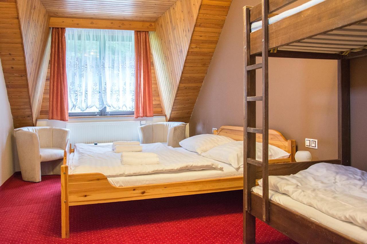 Horsky Hotel Vidly Карлова-Студанка Экстерьер фото